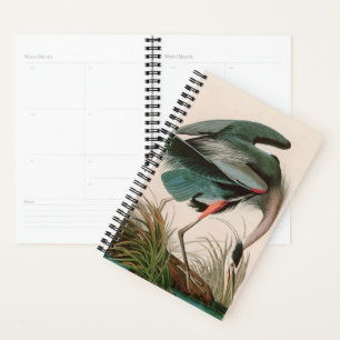 Agenda Impressão de excelente de Audubon, Aves Azuis- da