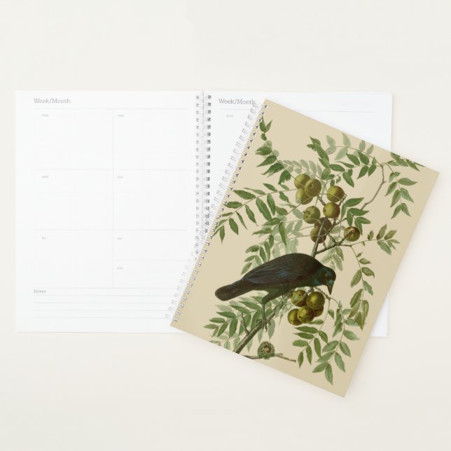 Agenda Impressão de pássaro rouxinol-roxo de Audubon Vint (Exibição)