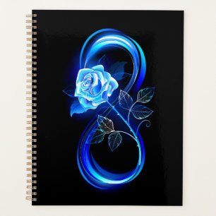 Agenda Infinito brilhante com rosa azul