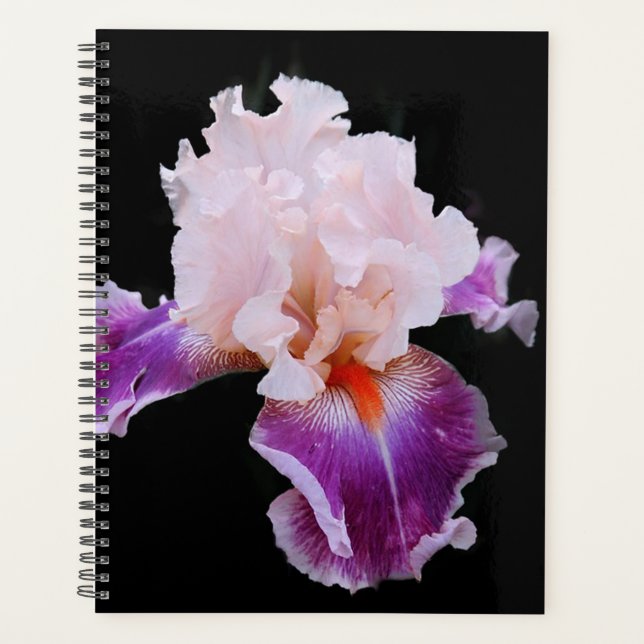 Agenda Iris (Frente)