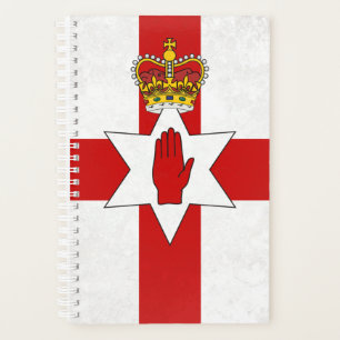 Agenda Irlanda do Norte
