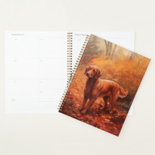 Agenda Irlandês Red Setter no outono deixa cair inspiraçã