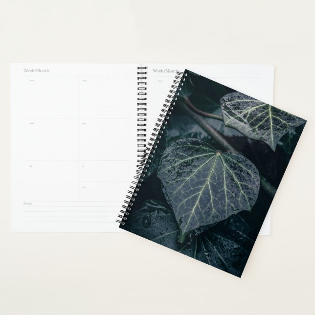 Agenda Ivy Nature Photo (Exibição)