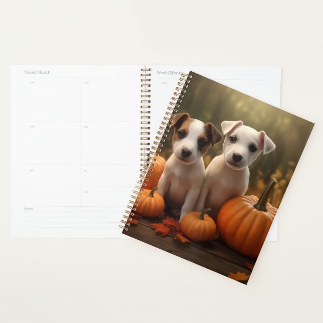 Agenda Jack Russell Puppy Autumn Delight Pumpkin (Exibição)