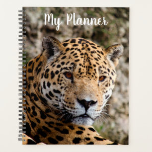 Agenda Jaguar