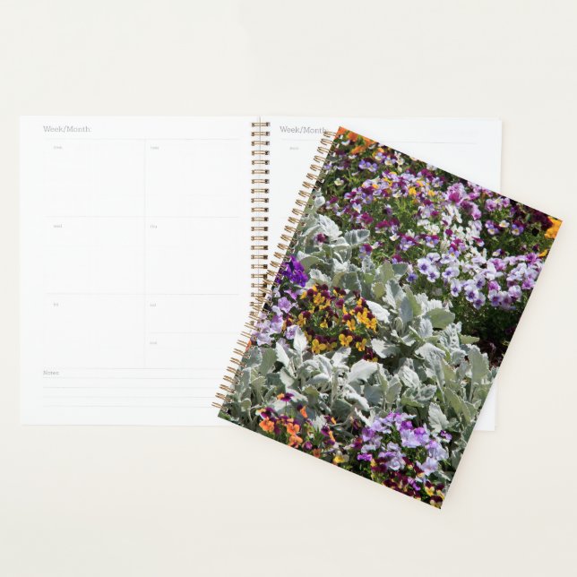 Agenda Jardim da Flor Sunny (Exibição)
