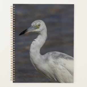 Agenda Juvenile Heron 2022
