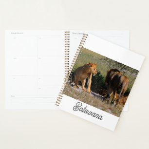 Agenda Kalahari Desert Lions Africa Masculino Feminino