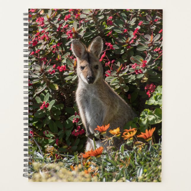 Agenda Kangaroo (Frente)