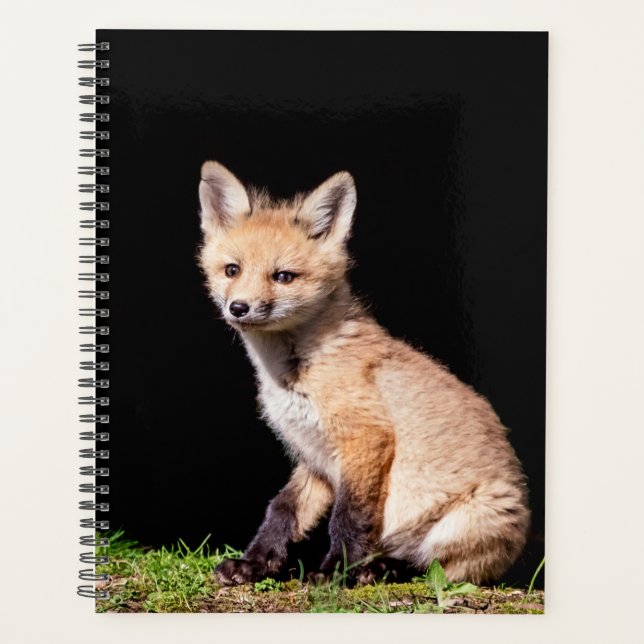 Agenda Kit de Raposa Vermelha 2024 (Frente)