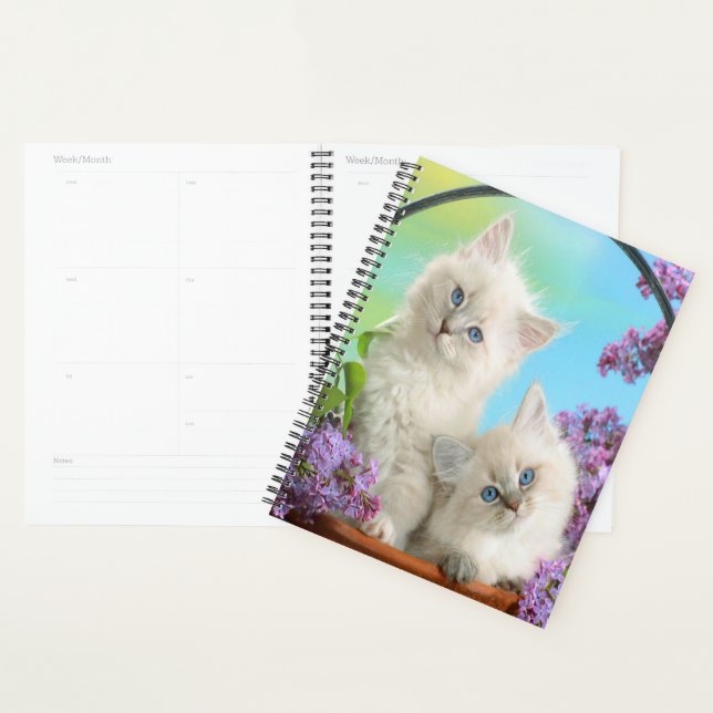 Agenda Kittens e Lilacs (Exibição)