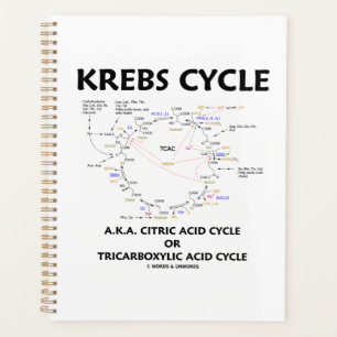 Agenda Krebs Cycle A.K.A. Ciclo Ácido Cítrico Tricarboxíl