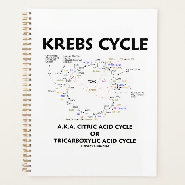 Agenda Krebs Cycle A.K.A. Ciclo Ácido Cítrico Tricarboxíl (Frente)