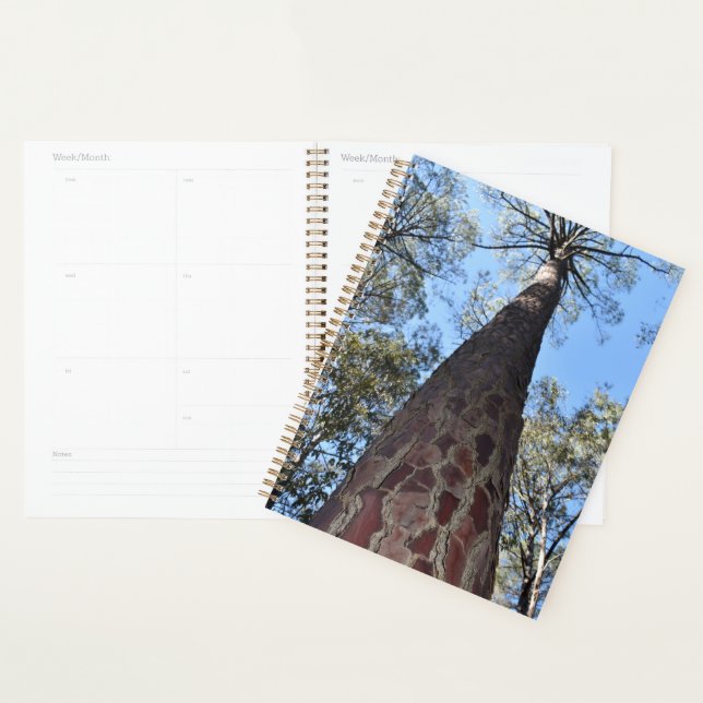 Agenda La Gerche Ponderosa Pine Planner (Exibição)