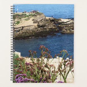 Agenda La Jolla Cove, Califórnia