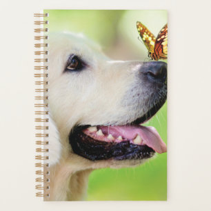 Agenda Labrador E Travesseiro decorativo De Borboleta