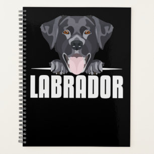 Agenda Labrador Preto Sorrente, Laboratório