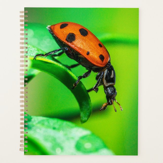 Agenda Ladybug Macro Planner Nature-Inspired Daily Notes (Frente)