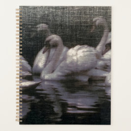 Agenda Lago de Cisnes ao Luar