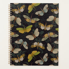 Agenda Lanternófilos - Píropos Candelaria e Outros Planth