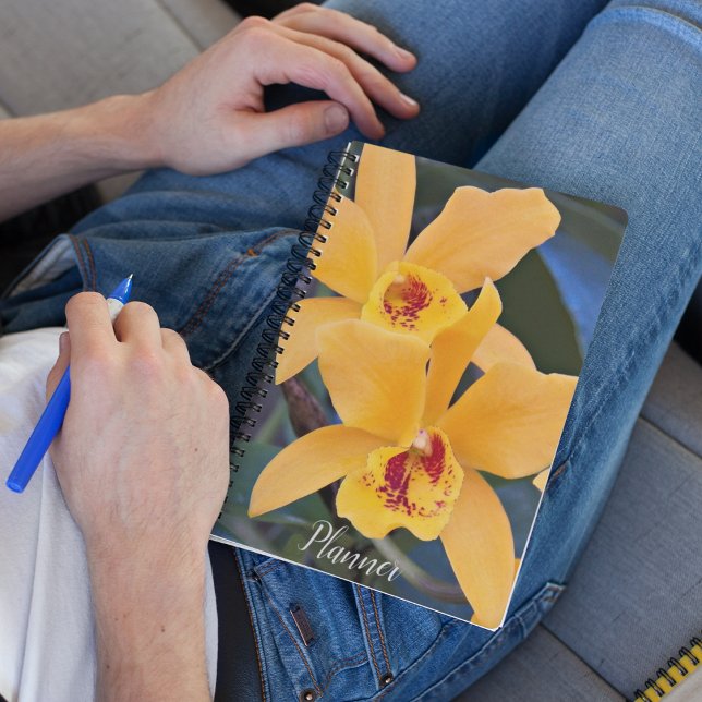 Agenda Laranja Laeliocattleya Orquídeas Floral (In Situ)