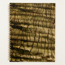 Latido Palm Tree