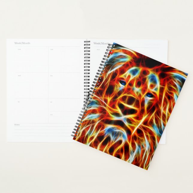 Agenda Leão (Exibição)