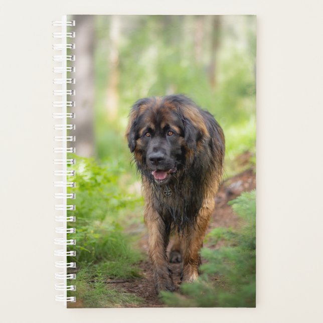 Agenda Leonberger (Frente)