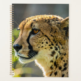 Agenda leopardo