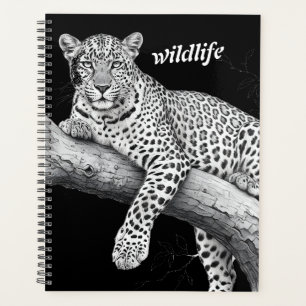 Agenda Leopardo da Meia-Noite, Ilustração de Vida Selvage