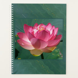 Agenda Lg Planner Link Lotus