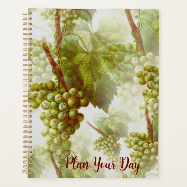 Agenda Life in Order: Daily, Weekly, Monthly Planner (Frente)