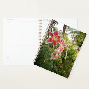 Agenda Lillies Rosa