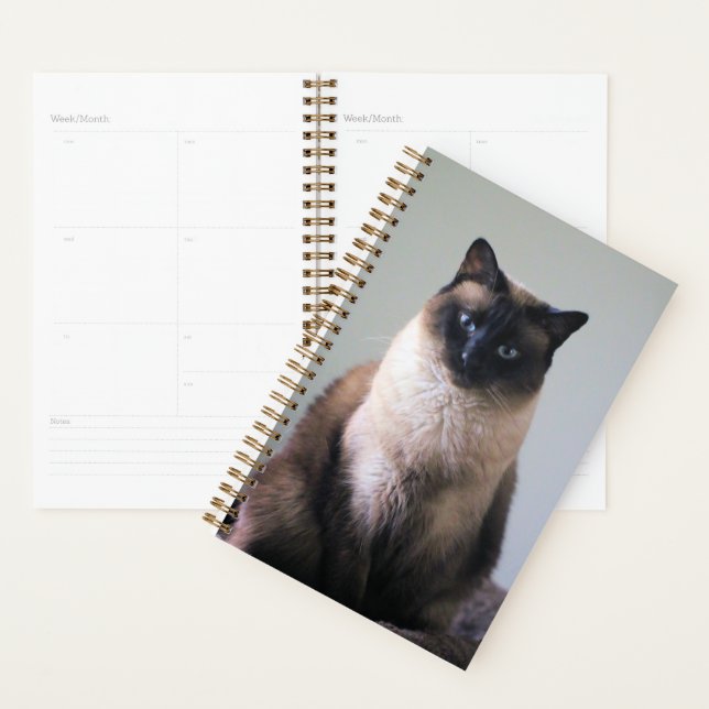 Agenda Lily (Exibição)