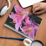 Agenda Linda Lily Blooms Rosa Floral<br><div class="desc">Este planejador mensal/semanal mantém todas as suas atividades e agendas futuras organizadas num único lugar útil e apresenta a imagem fotográfica da adorável,  rosa flor da Lily Oriental em ambos os lados. Um design floral adorável! Selecione a cor do fio do planejador.</div>