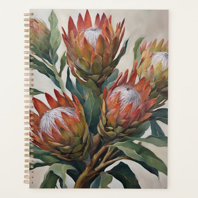 Agenda Lindas flores de proteína da África do Sul (Frente)