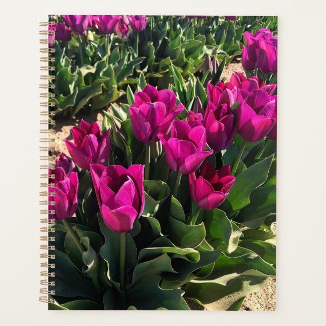 Agenda Lindas Tulipas (Frente)