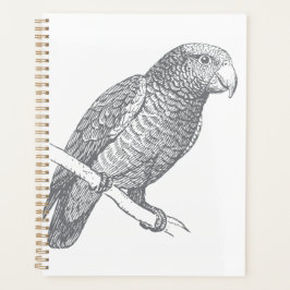 Agenda Line Art of Parrot (Gray) Fine Art