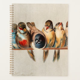 Agenda Linha de aves e pomba