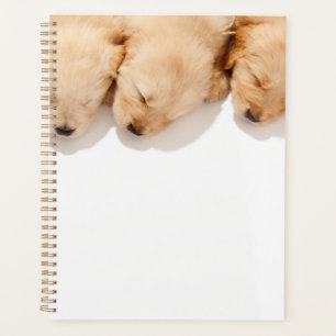 Agenda Linha de Cupias de Retriever de Ouro Dormindo