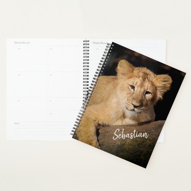 Agenda Lion Cub (Exibição)