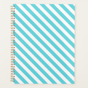 Agenda Listras diagonais clássicas em azul e branco