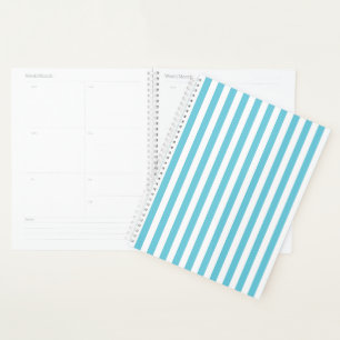 Agenda Listras Verticais Clássicas em Azul Claro e Branco