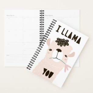 Agenda Llama Você