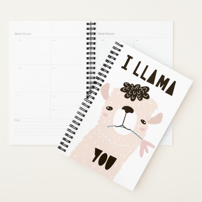 Agenda Llama Você (Exibição)