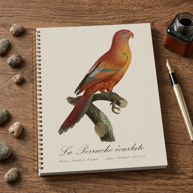 Agenda Lóri-de-bornéu, Trichoglossus borneus (Red Lory or Eos Bornea, Trichoglossus borneus. Planner)