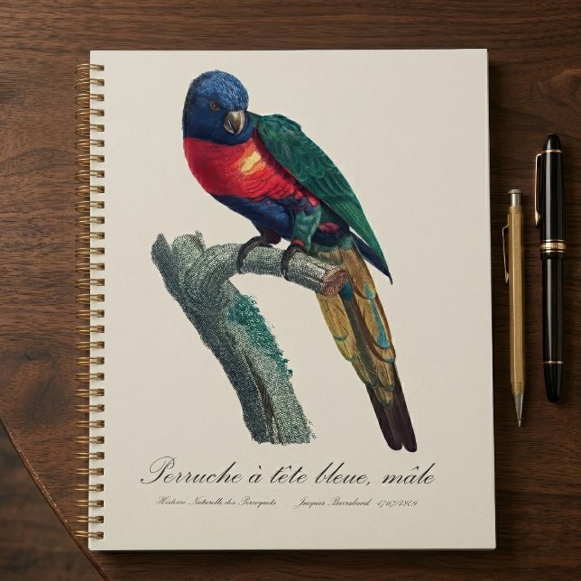 Agenda Loriqueet Arco-íris Macho, Trichoglossus Moluccanu (Rainbow Lorikeet Male, Trichoglossus Moluccanus. Planner)