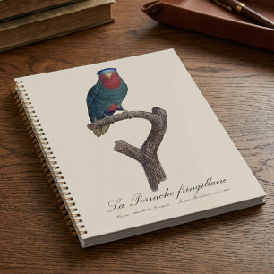 Agenda Loriqueut de Coroa Azul, Vini Australis