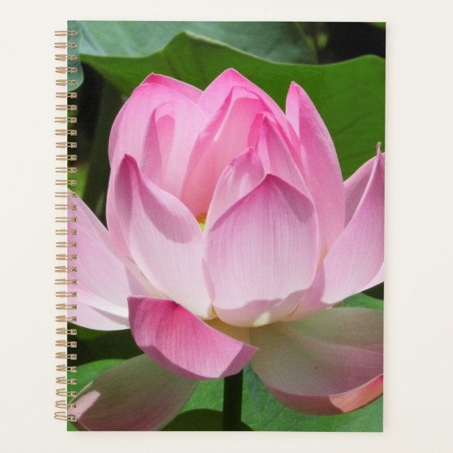 Agenda Lotus Bloom Rosa (Frente)