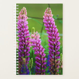 Agenda Lupin Pequeno Cobrir Suave, Espiral Branca